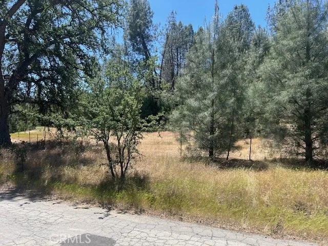 Coalinga Other, CA 93210