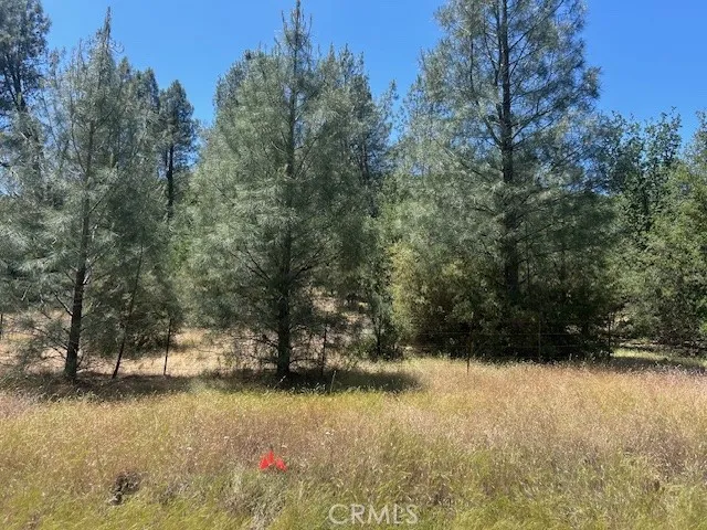 Coalinga Other, CA 93210