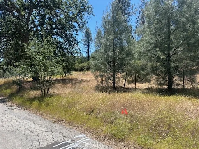 Coalinga Other, CA 93210