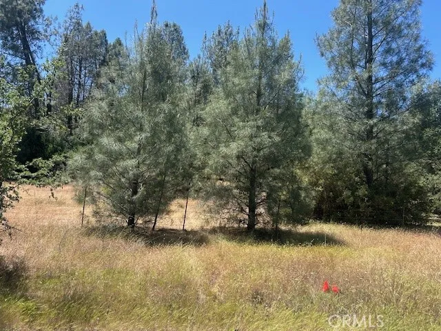 Coalinga Other, CA 93210