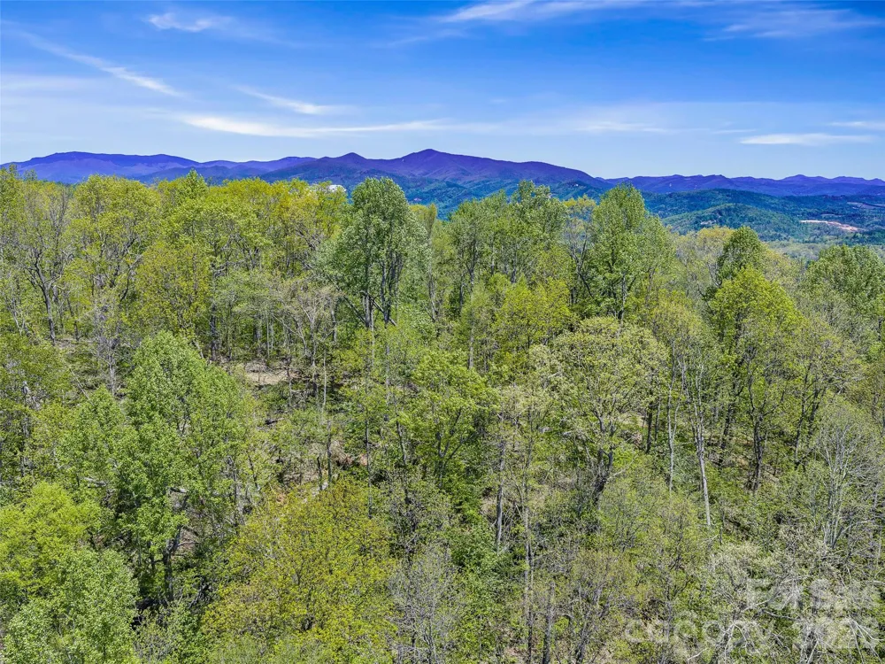 TBD Holly Dale Drive Spruce Pine, NC 28777