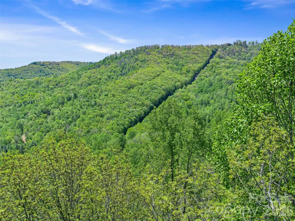 TBD Holly Dale Drive Spruce Pine, NC 28777