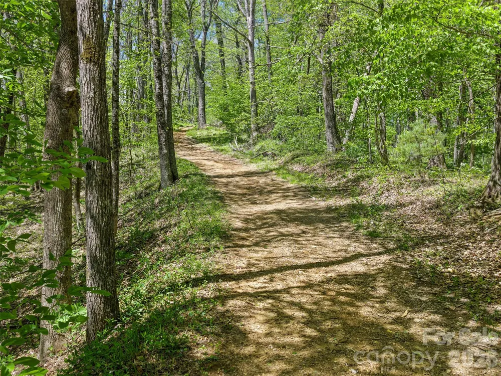 TBD Holly Dale Drive Spruce Pine, NC 28777
