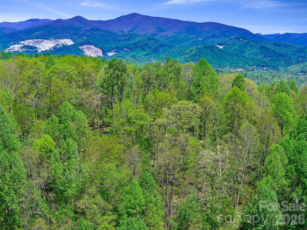 TBD Holly Dale Drive Spruce Pine, NC 28777