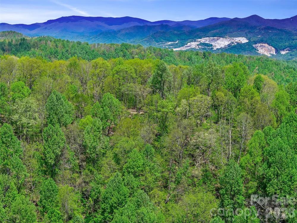 TBD Holly Dale Drive Spruce Pine, NC 28777