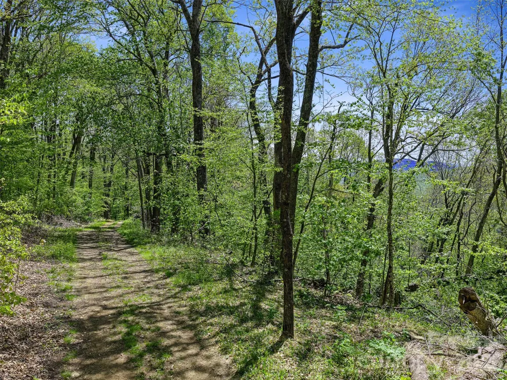 TBD Holly Dale Drive Spruce Pine, NC 28777