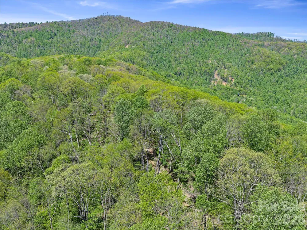 TBD Holly Dale Drive Spruce Pine, NC 28777
