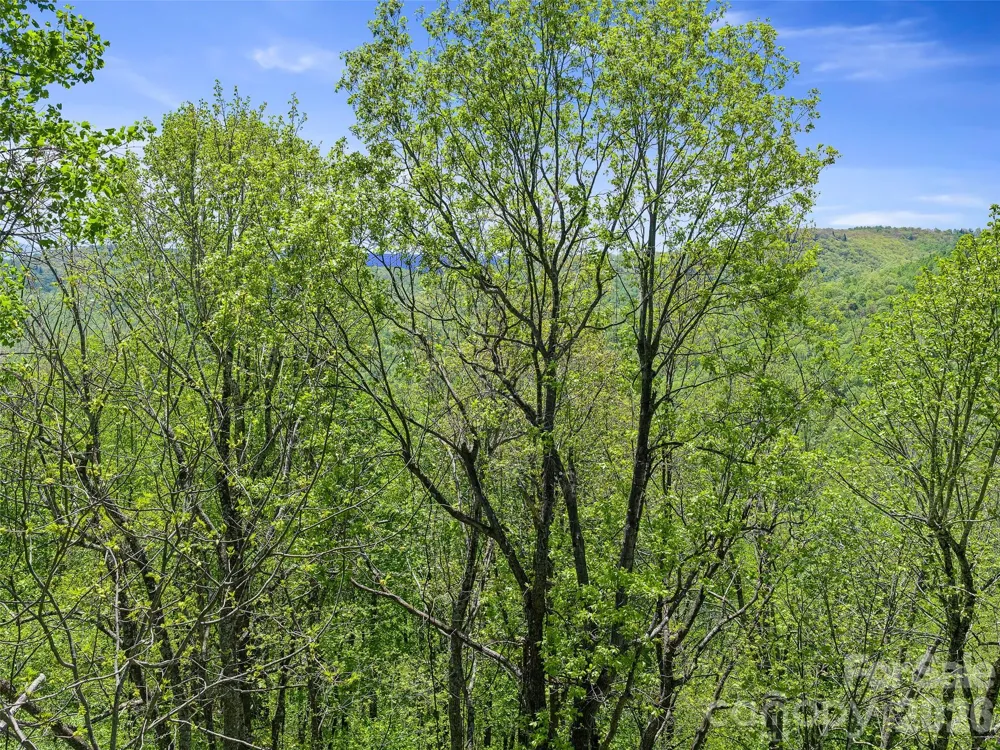 TBD Holly Dale Drive Spruce Pine, NC 28777