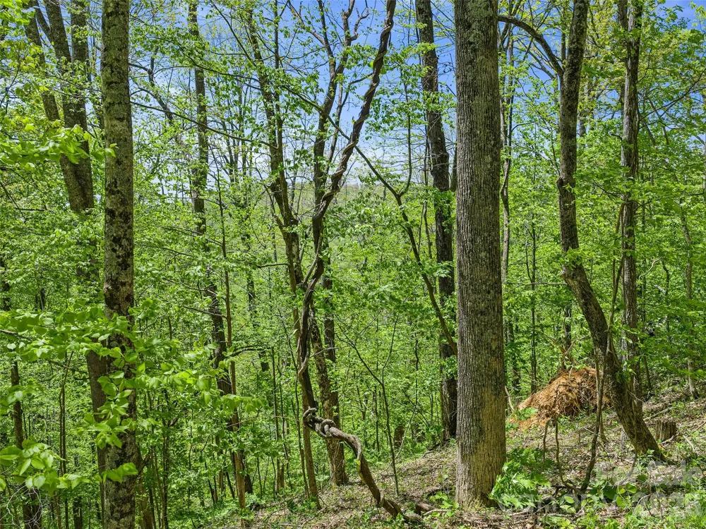 TBD Holly Dale Drive Spruce Pine, NC 28777