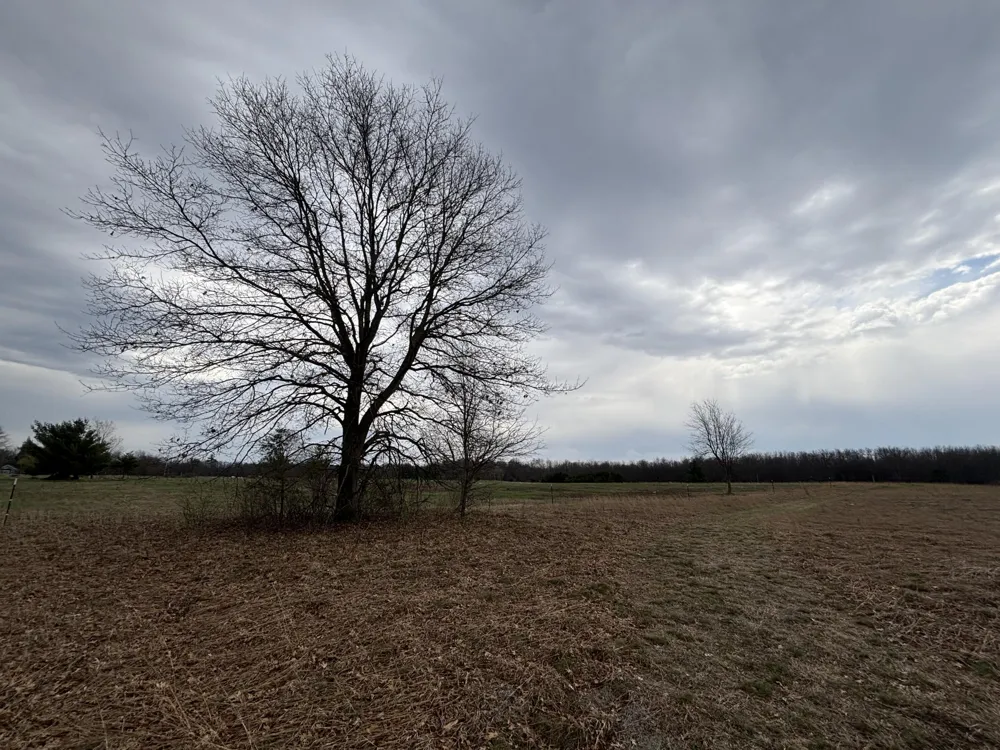 5771 Woodbridge Road White Cloud, MI 49349