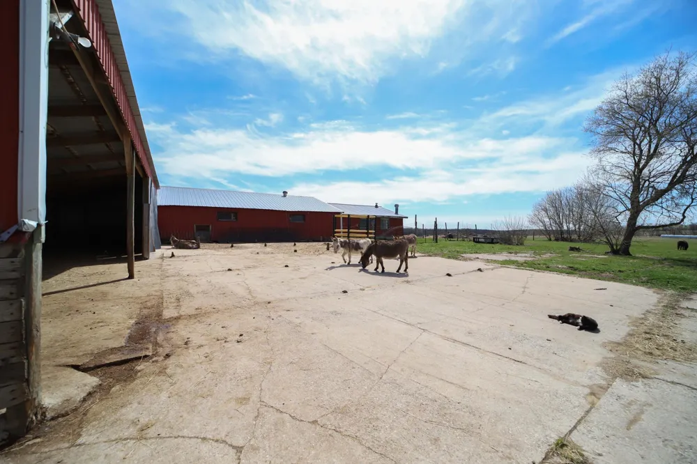 36879 207th Avenue Clarissa, MN 56440