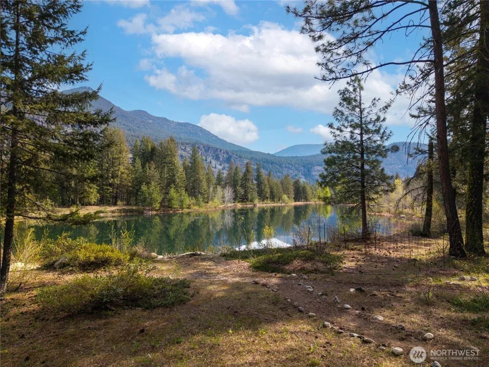 32 Freestone Lake Drive Mazama, WA 98833