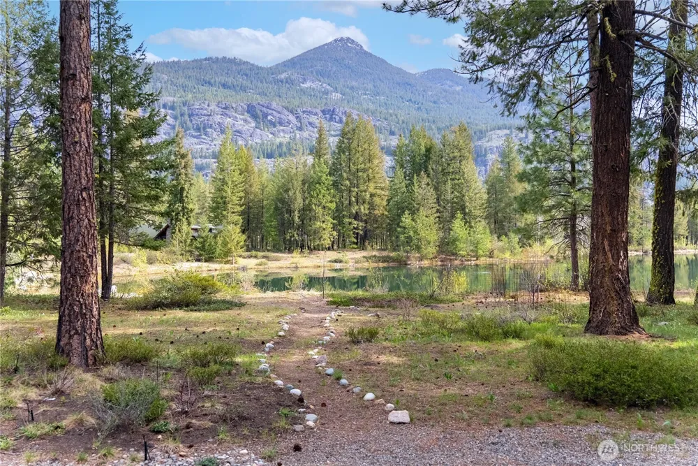 32 Freestone Lake Drive Mazama, WA 98833