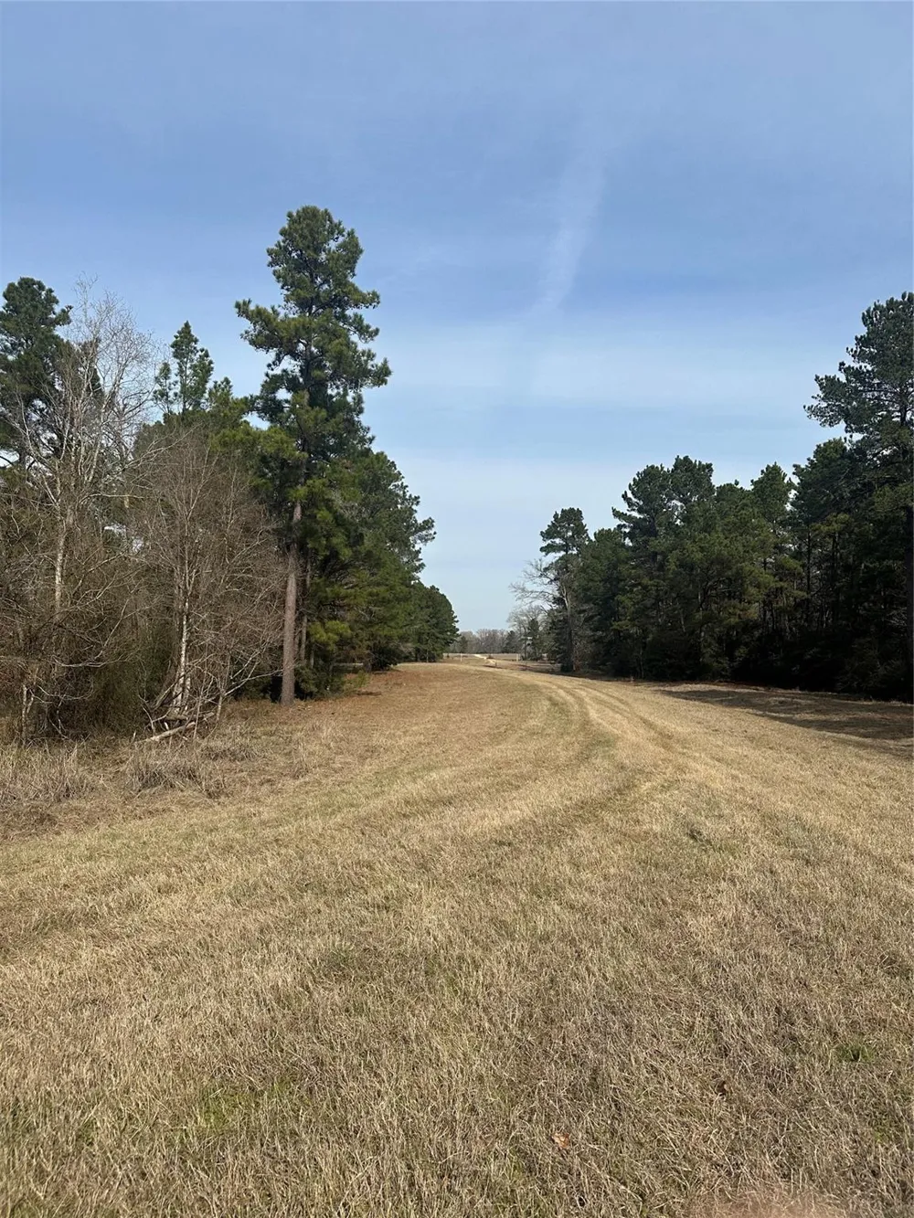 Cresent Farm Lane Trinity, TX 75862