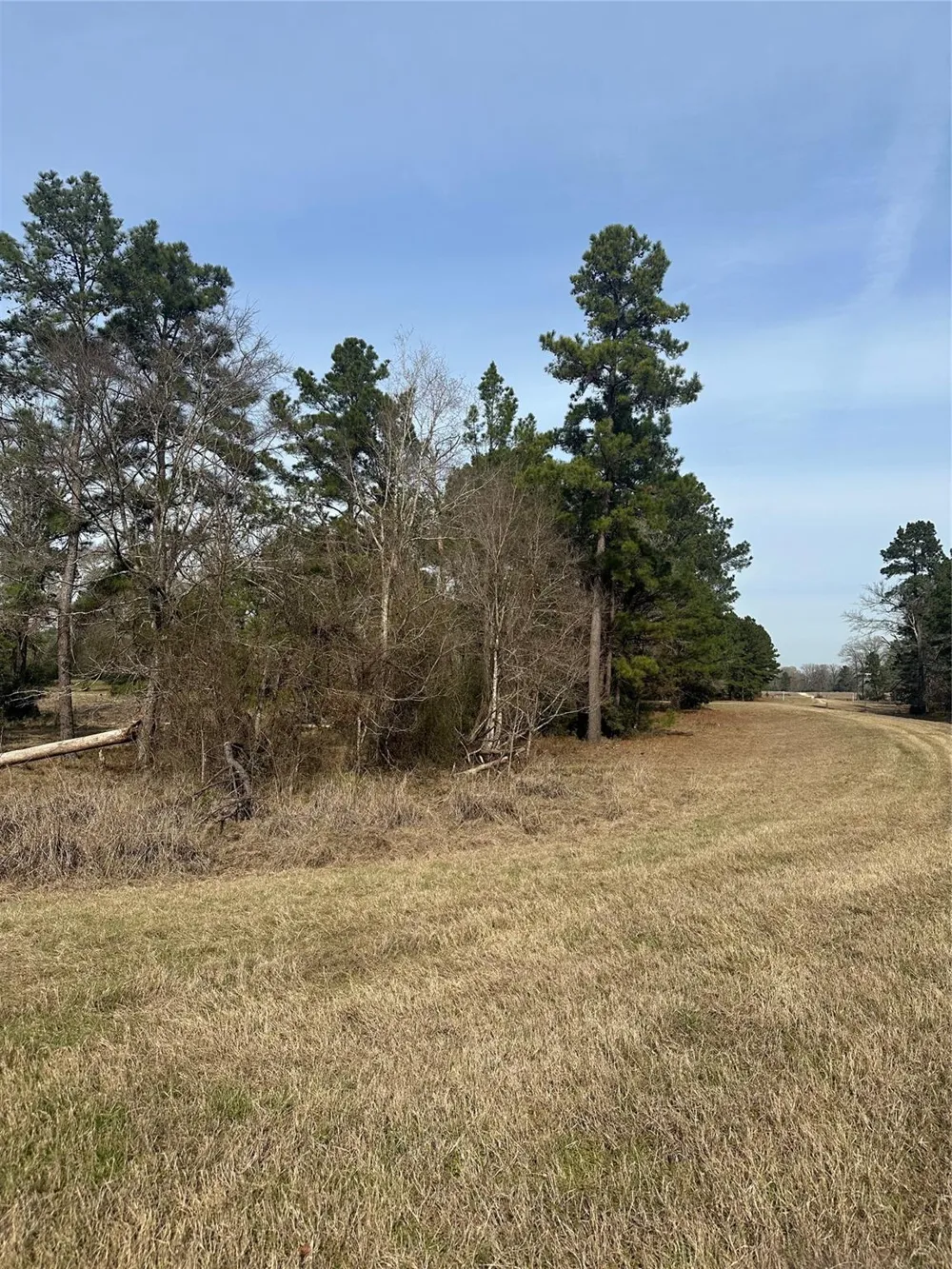 Cresent Farm Lane Trinity, TX 75862