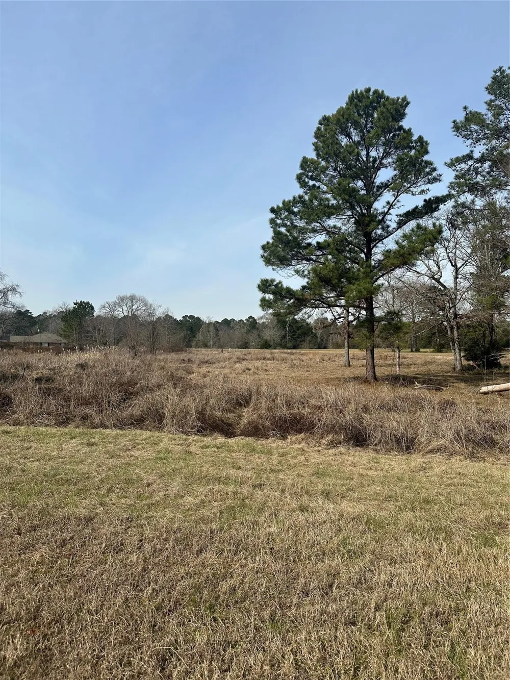 Cresent Farm Lane Trinity, TX 75862