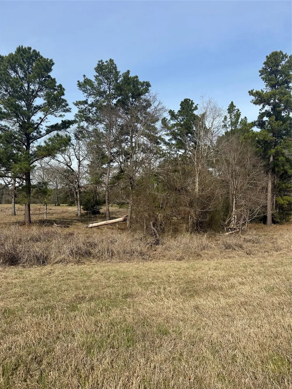 Cresent Farm Lane Trinity, TX 75862