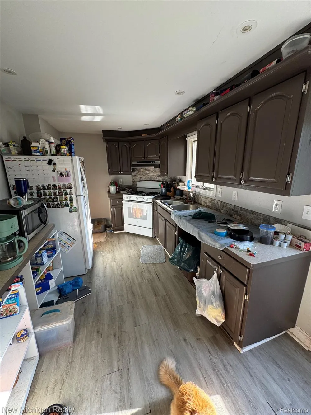 305 E Rolfe Perry City, MI 48872