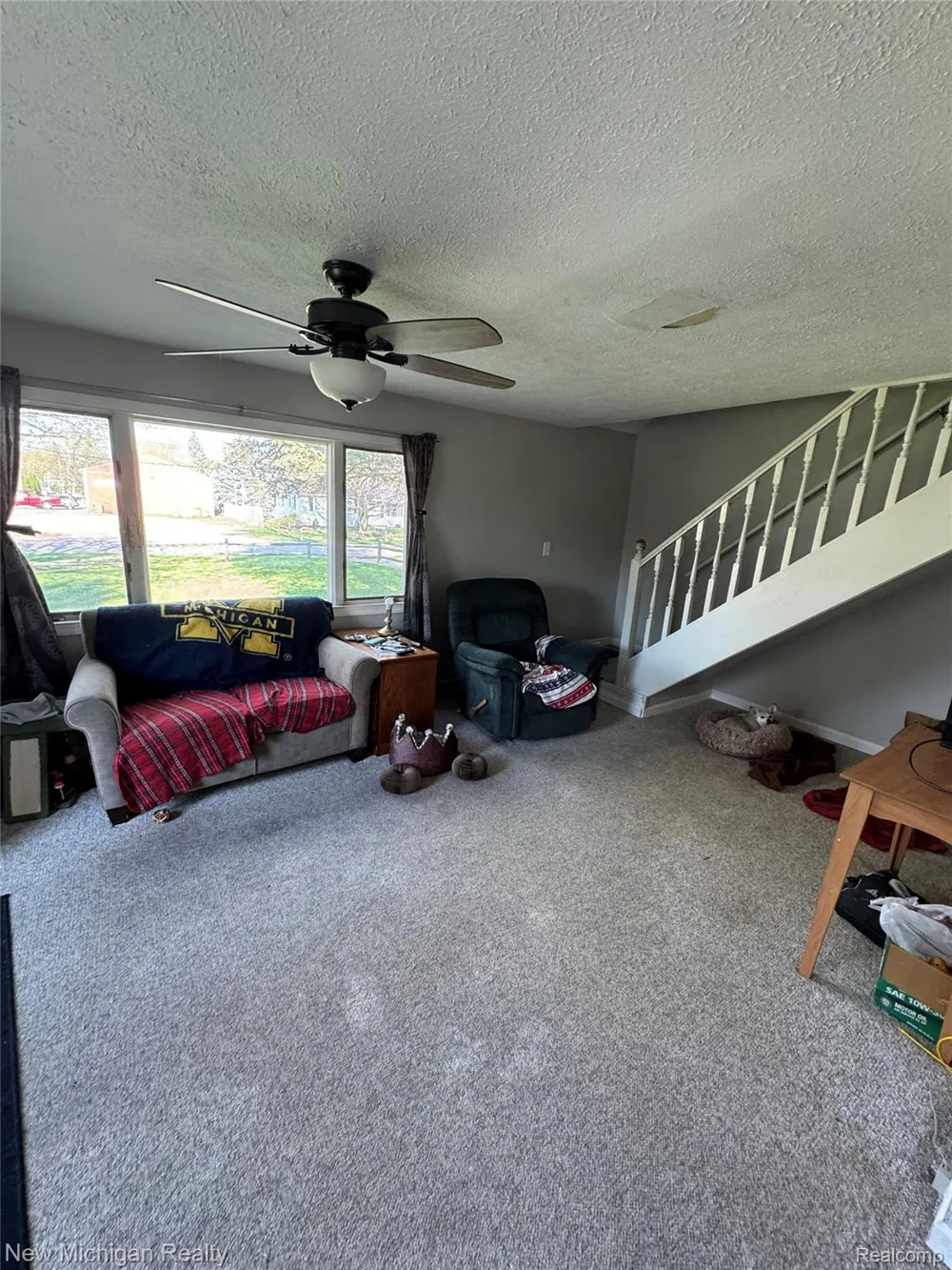 305 E Rolfe Perry City, MI 48872