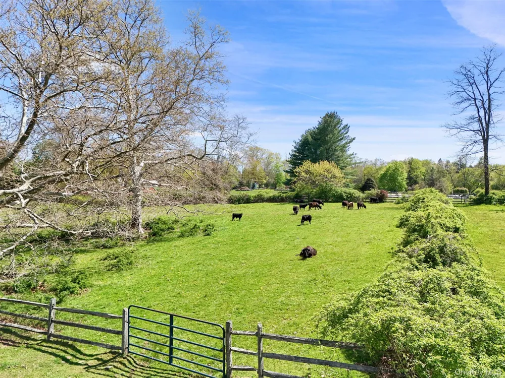 345 McLain Street Bedford Hills, NY 10507