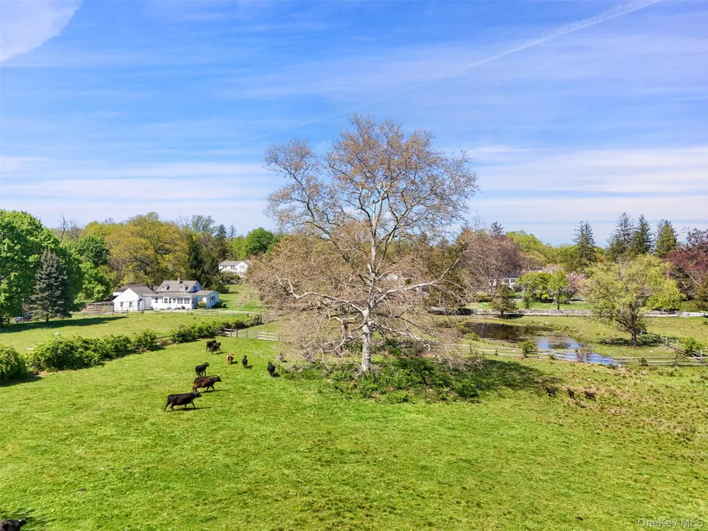 345 McLain Street Bedford Hills, NY 10507