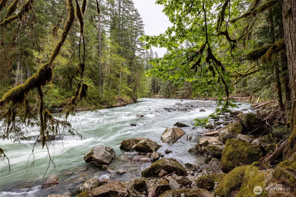 10500 Mount Baker Highway #307 Glacier, WA 98244