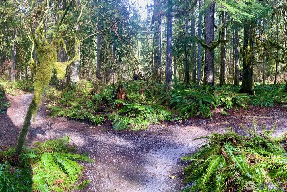 10500 Mount Baker Highway #307 Glacier, WA 98244