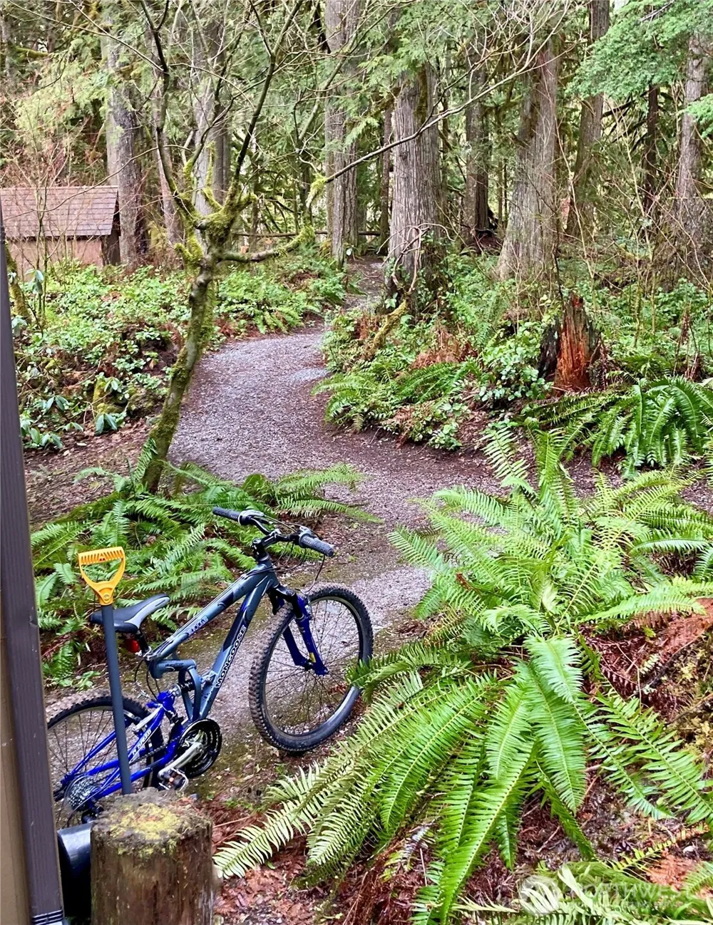 10500 Mount Baker Highway #307 Glacier, WA 98244