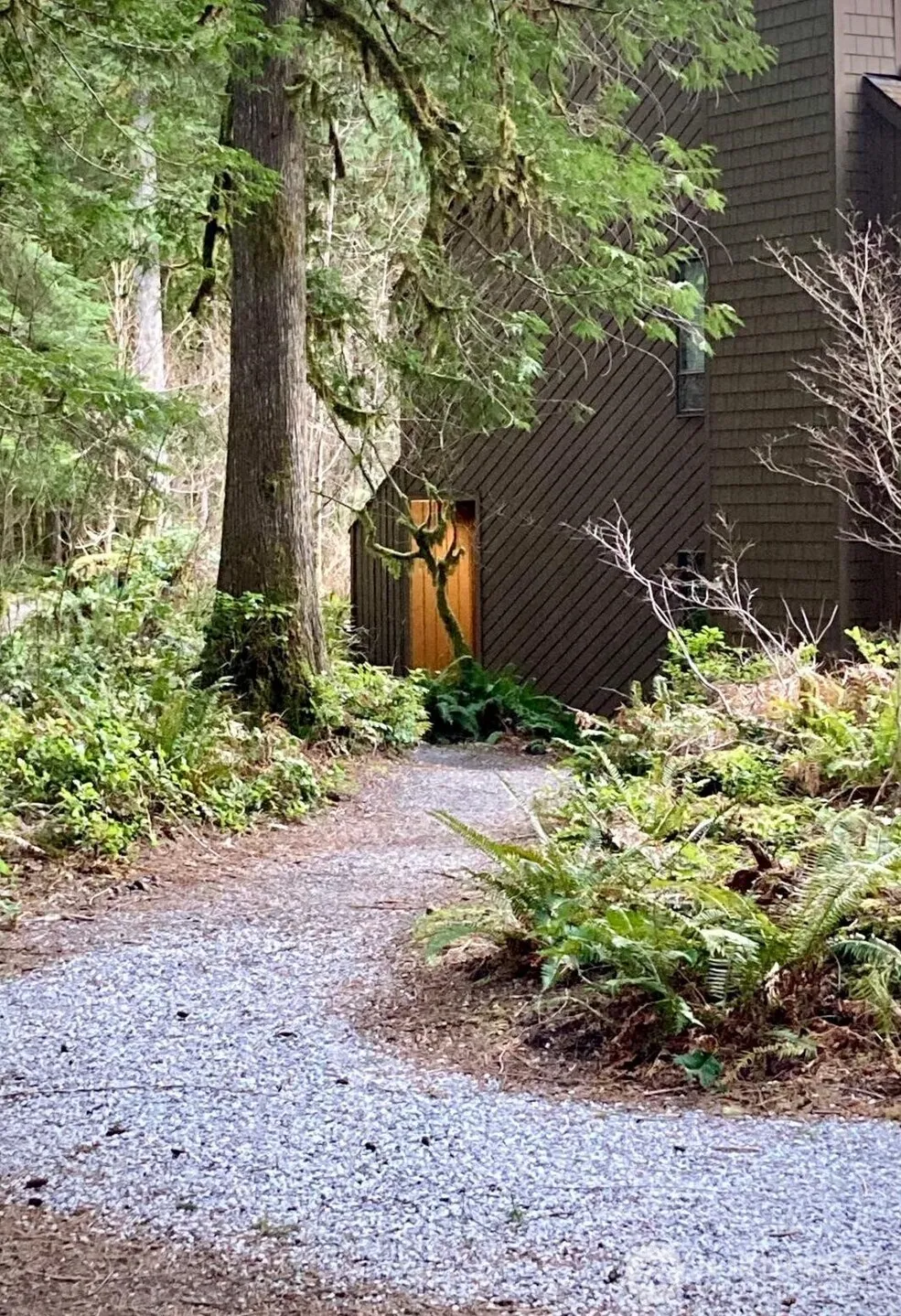 10500 Mount Baker Highway #307 Glacier, WA 98244