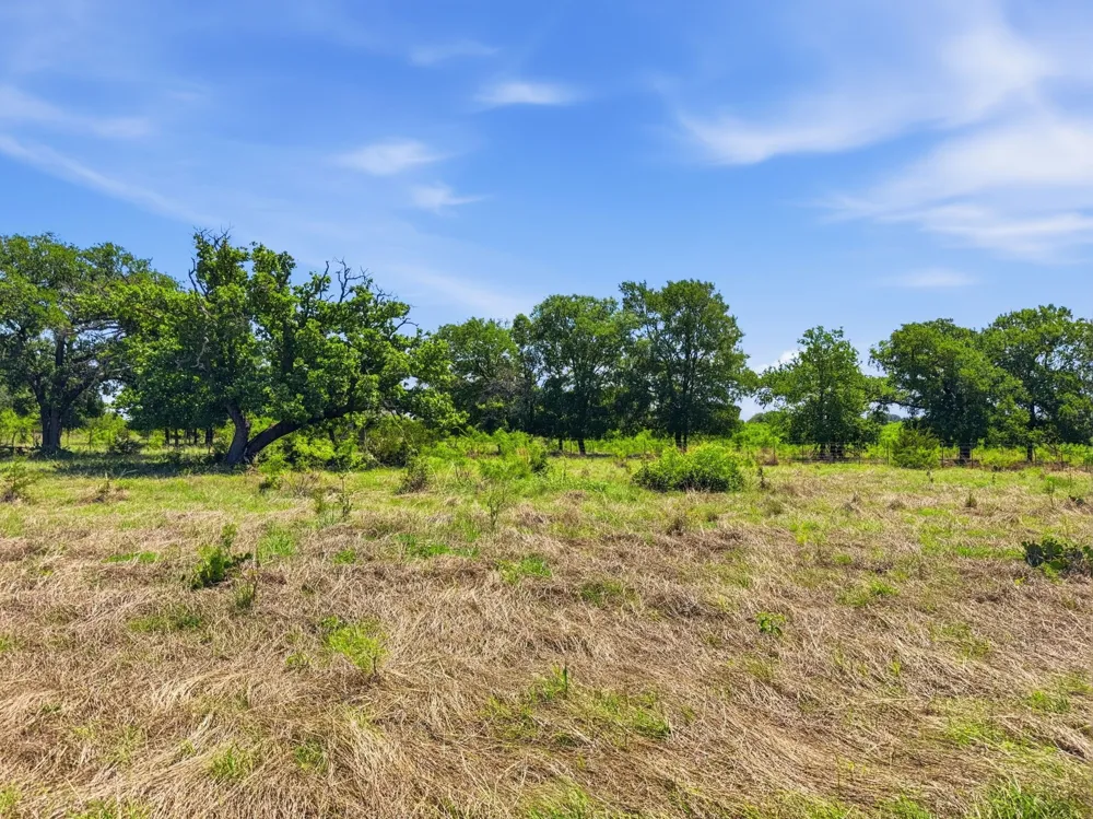 Pr 4219 Evant, TX 76525