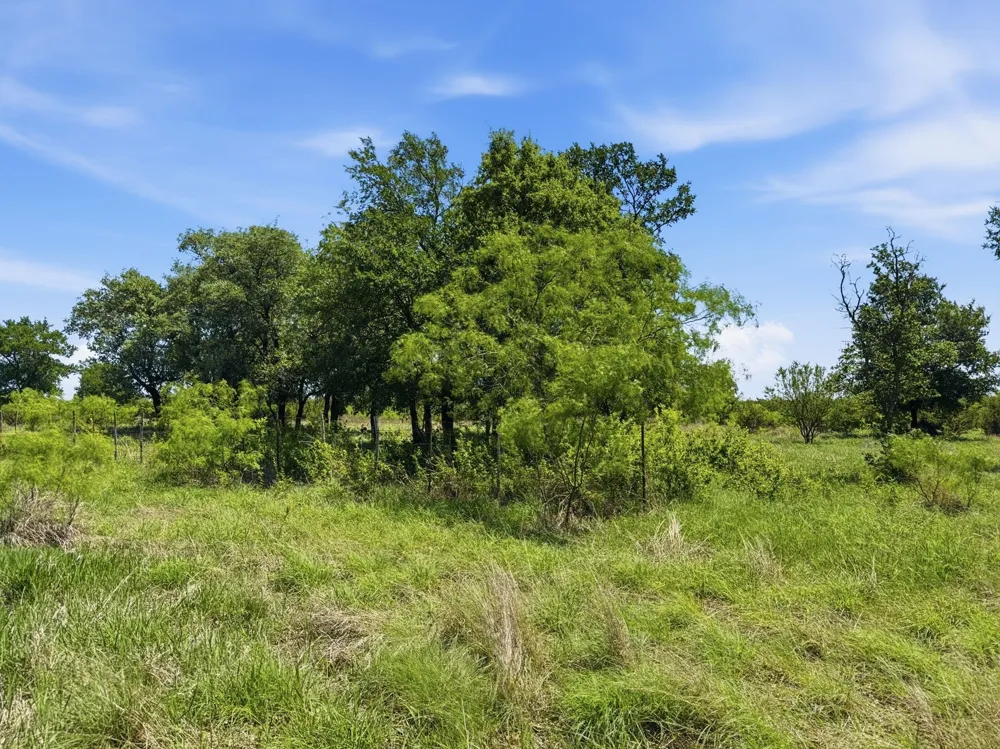 Pr 4219 Evant, TX 76525