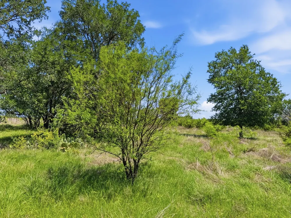 Pr 4219 Evant, TX 76525