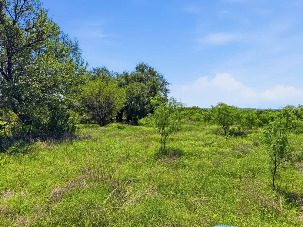 Pr 4219 Evant, TX 76525