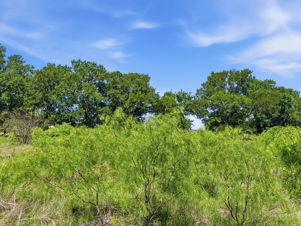 Pr 4219 Evant, TX 76525