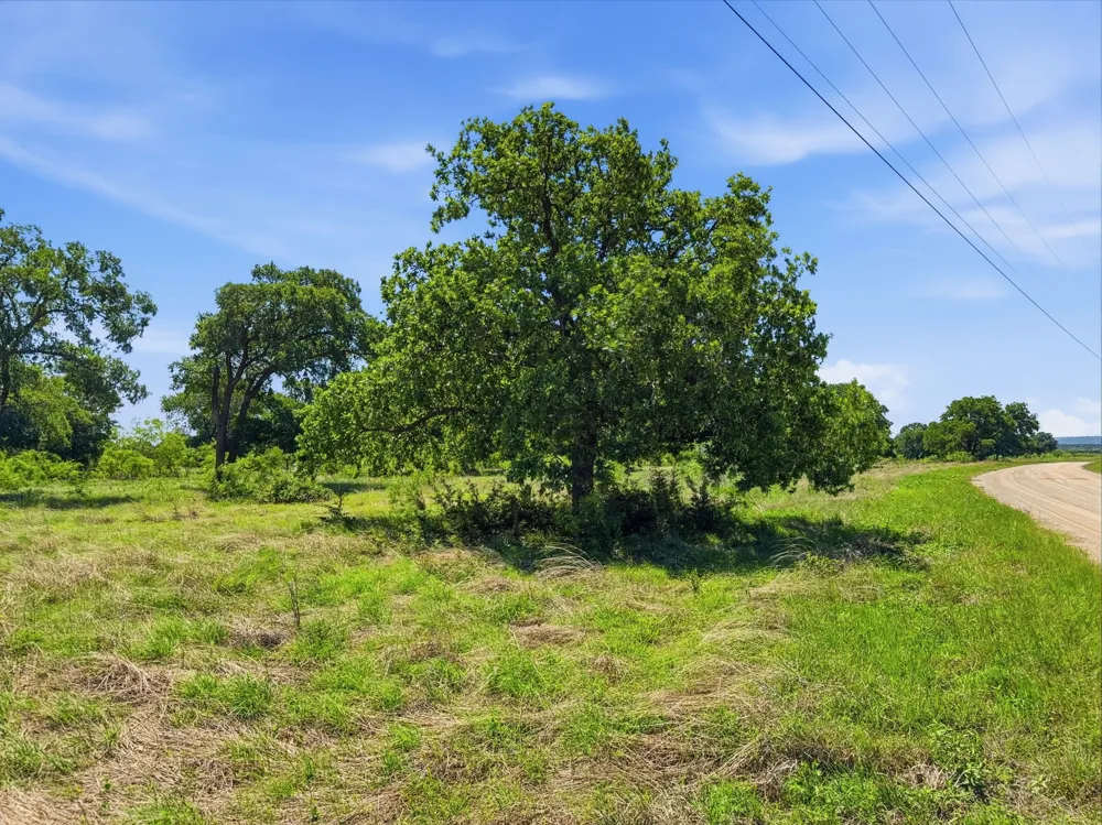 Pr 4219 Evant, TX 76525