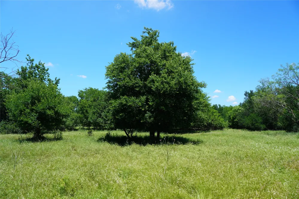 36 FM 2210 Perrin, TX 76486