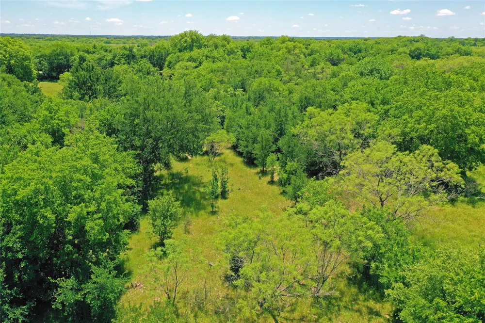 36 FM 2210 Perrin, TX 76486