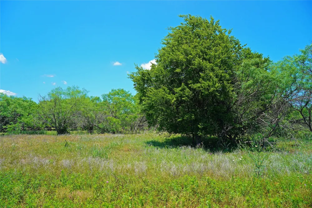 36 FM 2210 Perrin, TX 76486