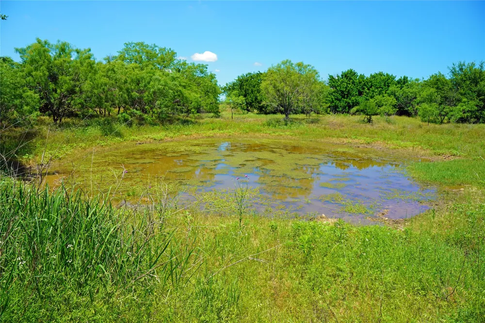 36 FM 2210 Perrin, TX 76486