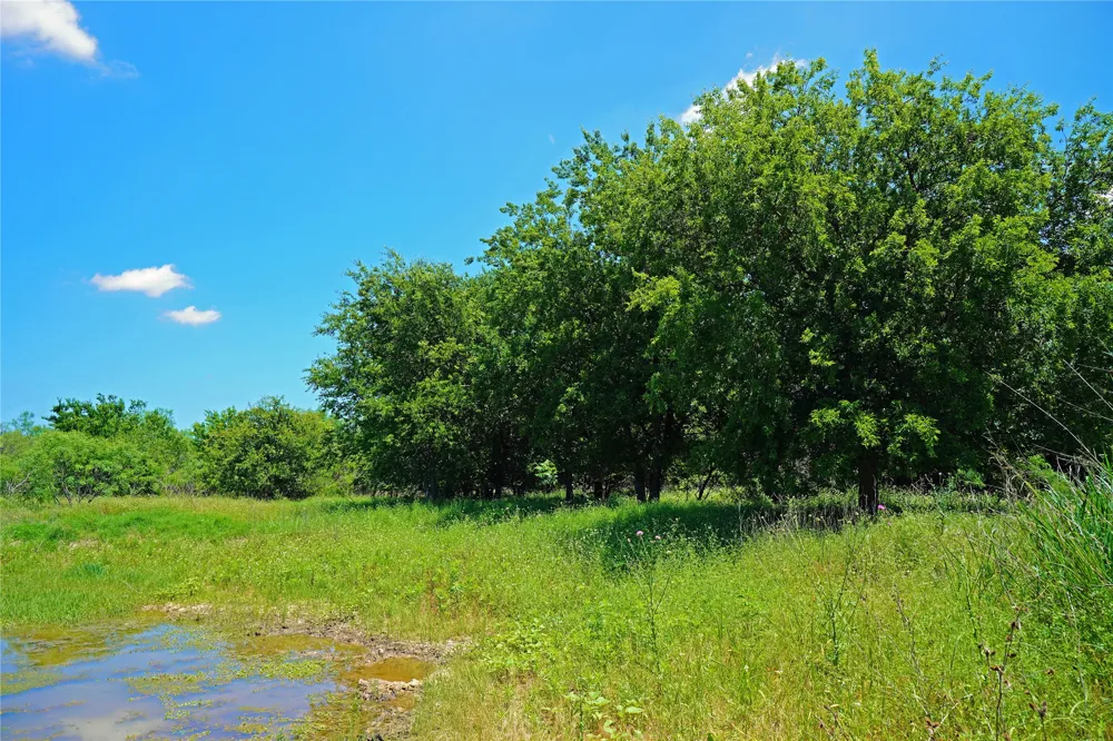 36 FM 2210 Perrin, TX 76486