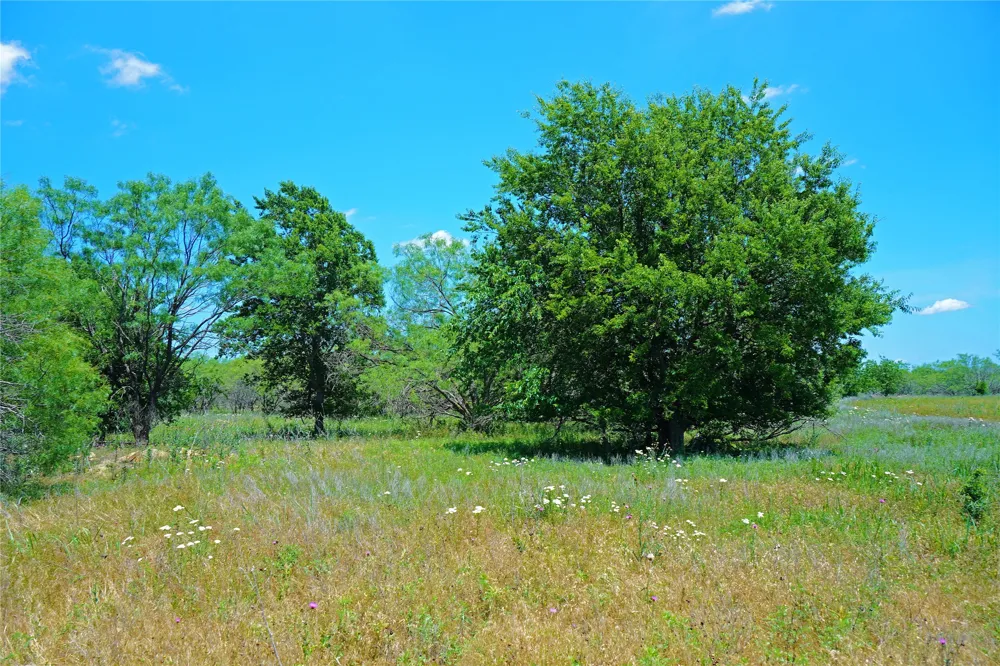 36 FM 2210 Perrin, TX 76486