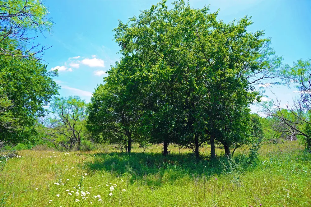 36 FM 2210 Perrin, TX 76486