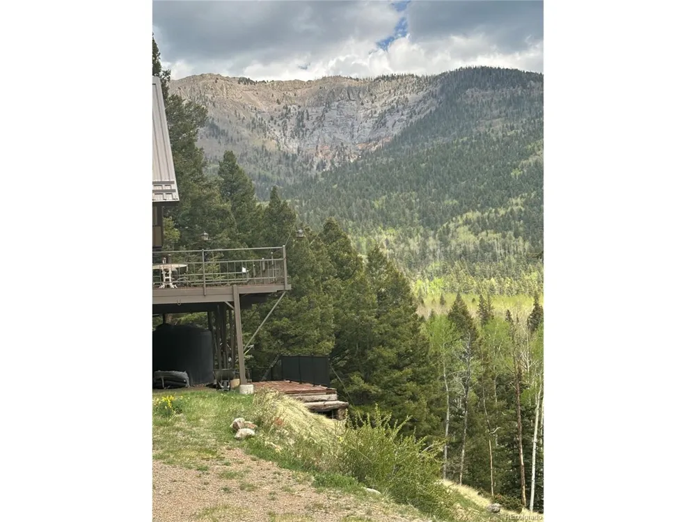 1113 Spring Street Jasper, CO 81144