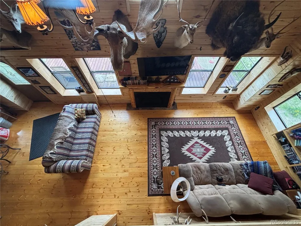 1113 Spring Street Jasper, CO 81144