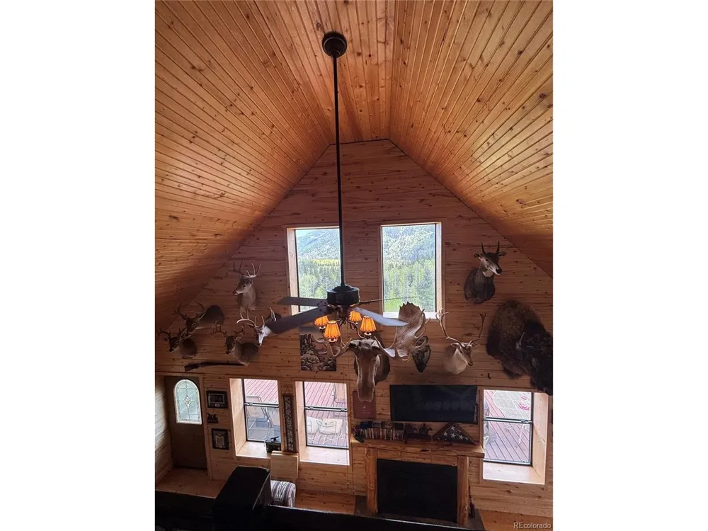 1113 Spring Street Jasper, CO 81144