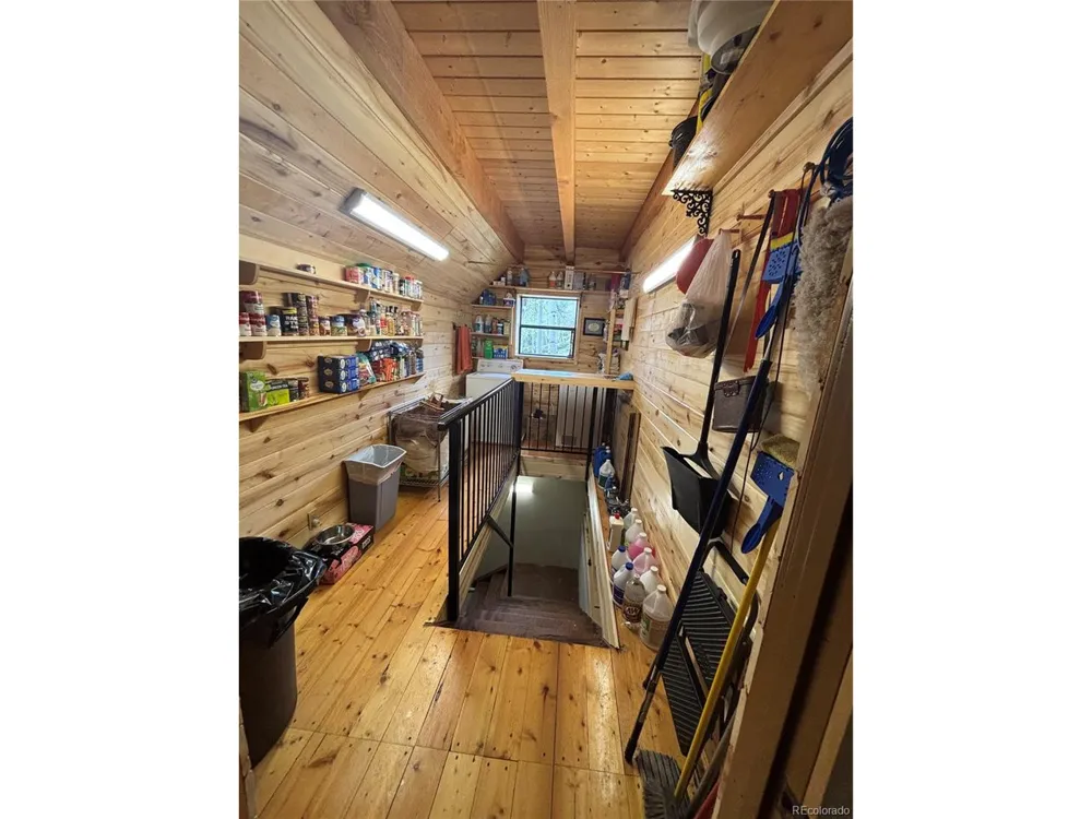 1113 Spring Street Jasper, CO 81144
