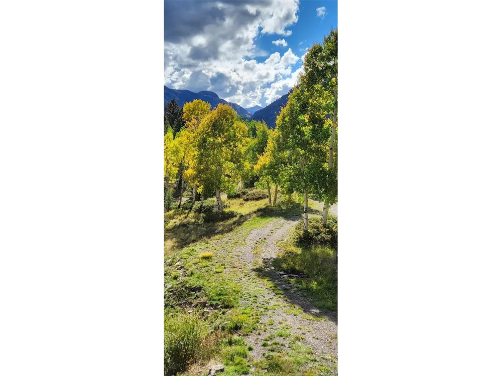 1113 Spring Street Jasper, CO 81144