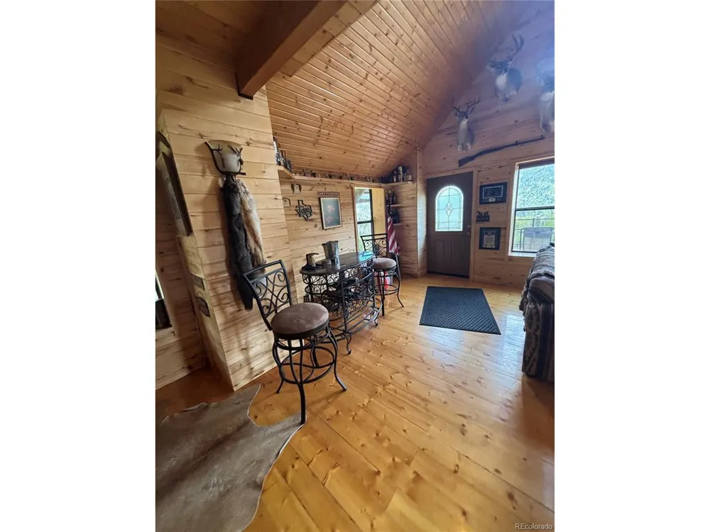 1113 Spring Street Jasper, CO 81144
