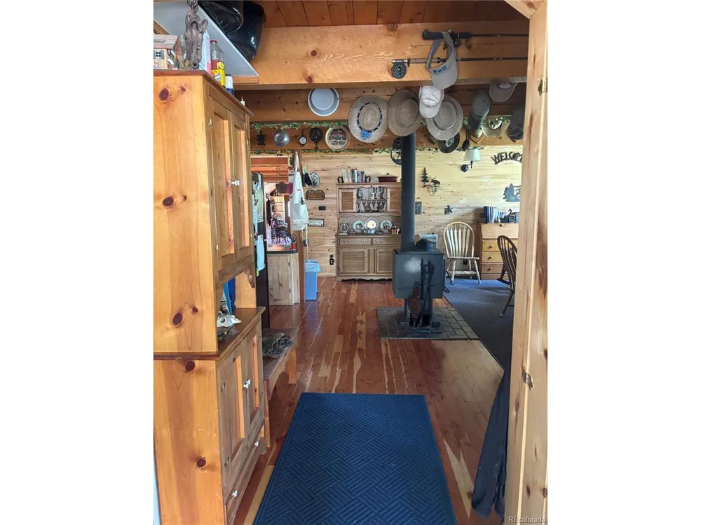 1113 Spring Street Jasper, CO 81144