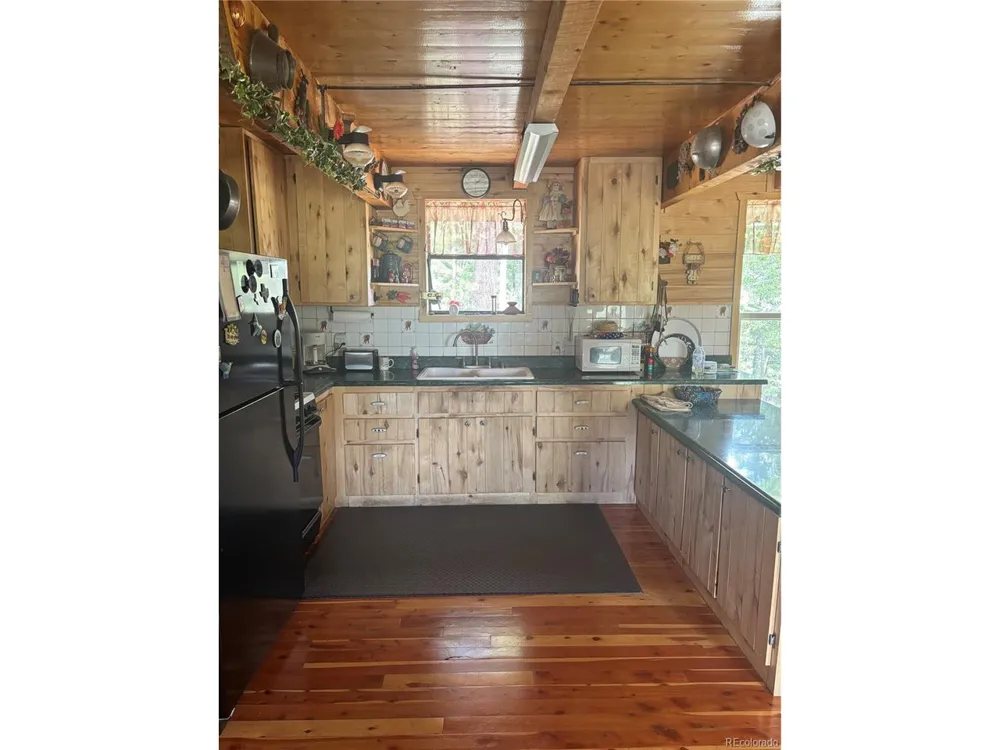 1113 Spring Street Jasper, CO 81144
